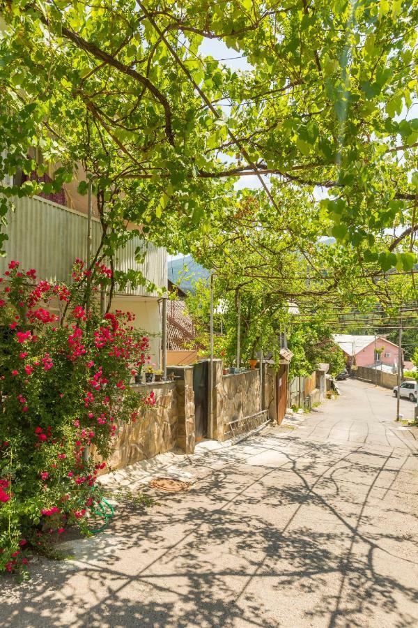 Mereti Hotel Borjomi ภายนอก รูปภาพ